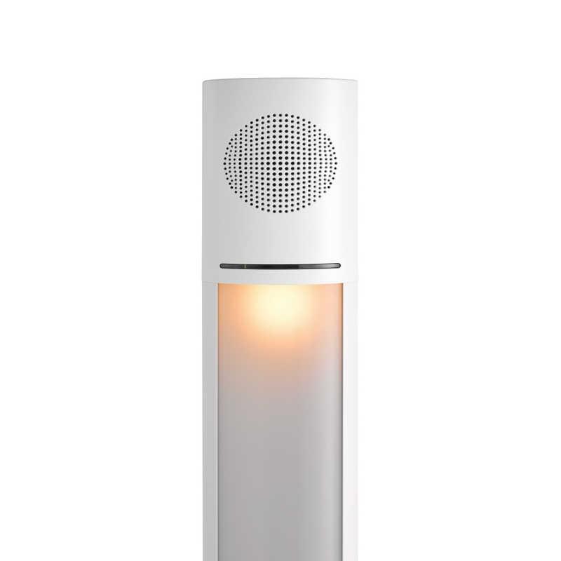 TOSHIBA 東芝 TOSHIBA TOSHIBA LEDシーリングライト 長形 6畳 昼 TOSHIBA 東芝 TOSHIBA TOSHIBA LEDシーリングライト 長形 6畳 昼