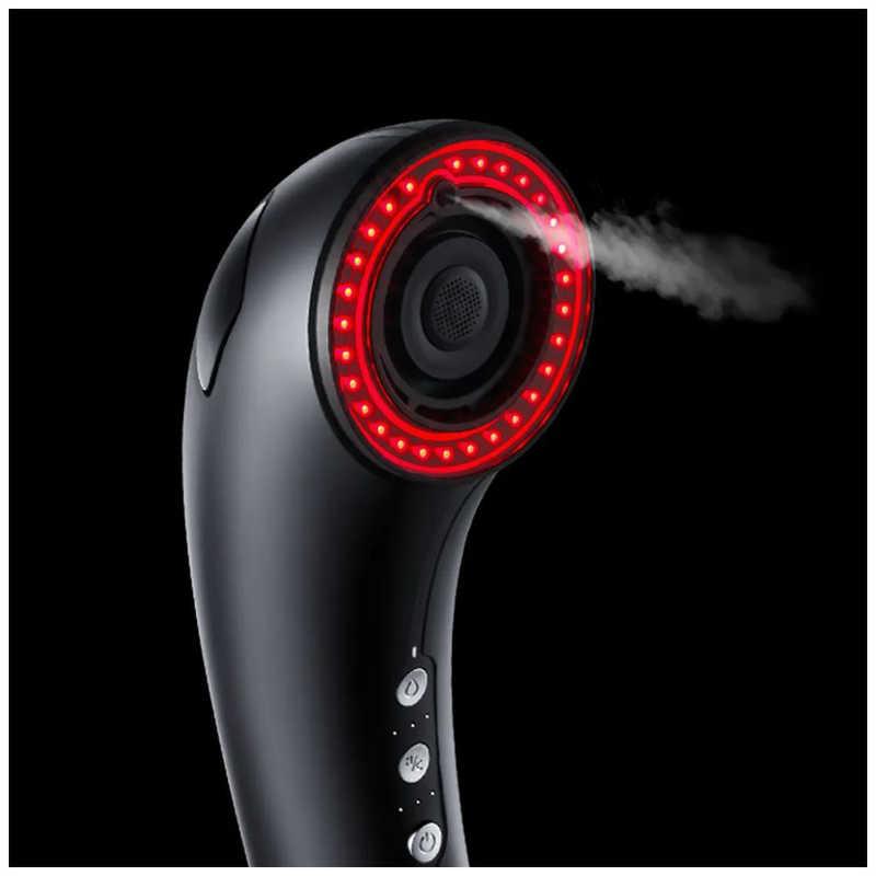 BRIGHTE シャワードライヤー BRT-SD173専用ミストセラム2個セット MIST