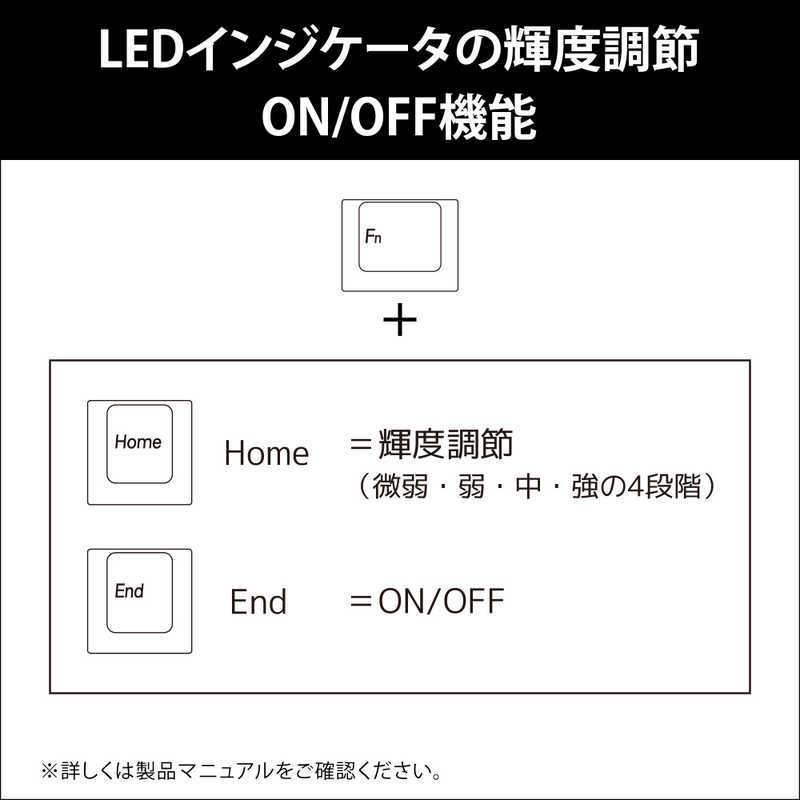 ARCHISS アーキス　Maestro TKL(CHERRY MX 赤軸・Windows11  macOS対応) 　ASKBM87LRGB｜y-kojima｜17