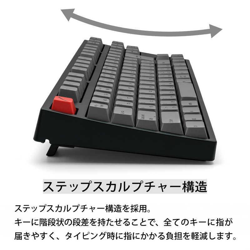 ARCHISS アーキス　Maestro TKL メカニカル テンキーレス 日本語JIS配列 91キー　ASKBM91SRGBA｜y-kojima｜21