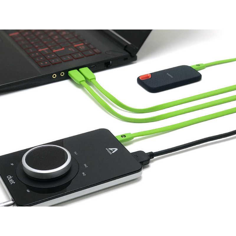 oyaide（オヤイデ） オヤイデ電気 USBケーブル d+USB Type-A to C