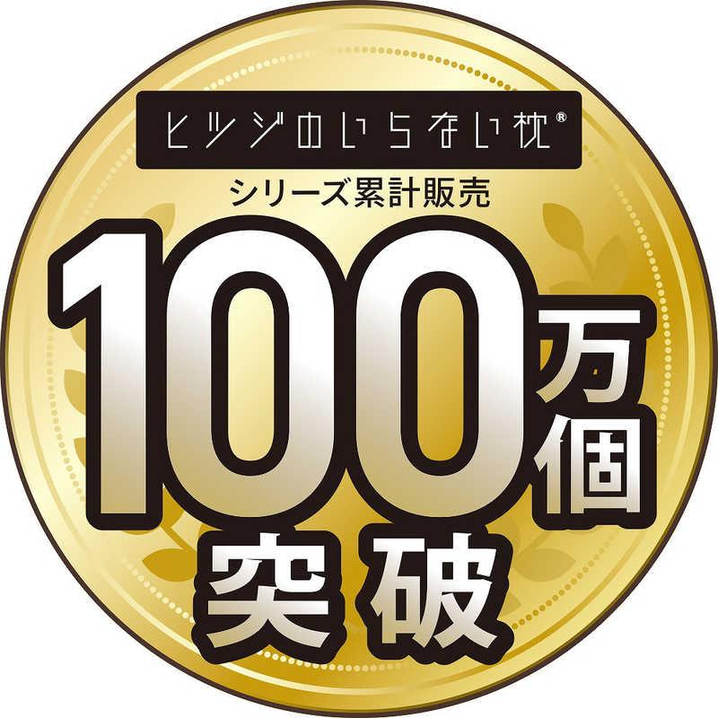 太陽 ヒツジのいらない敷きパッド アイス・ブレイク ホワイト