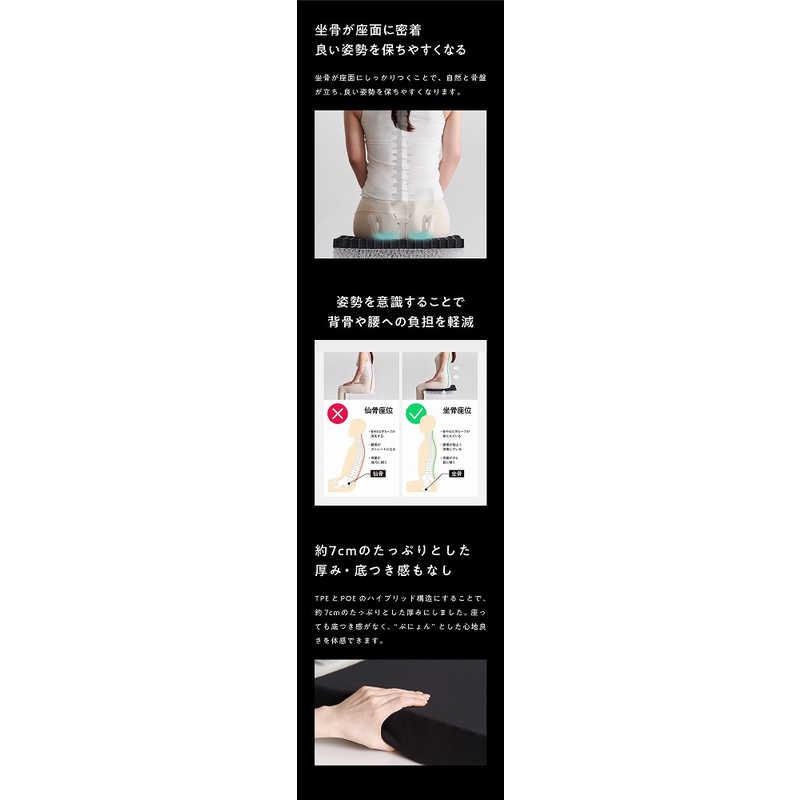 太陽 ヒツジのいらない尻枕 (カバー付き) ブラック HTS-001 : コジマ
