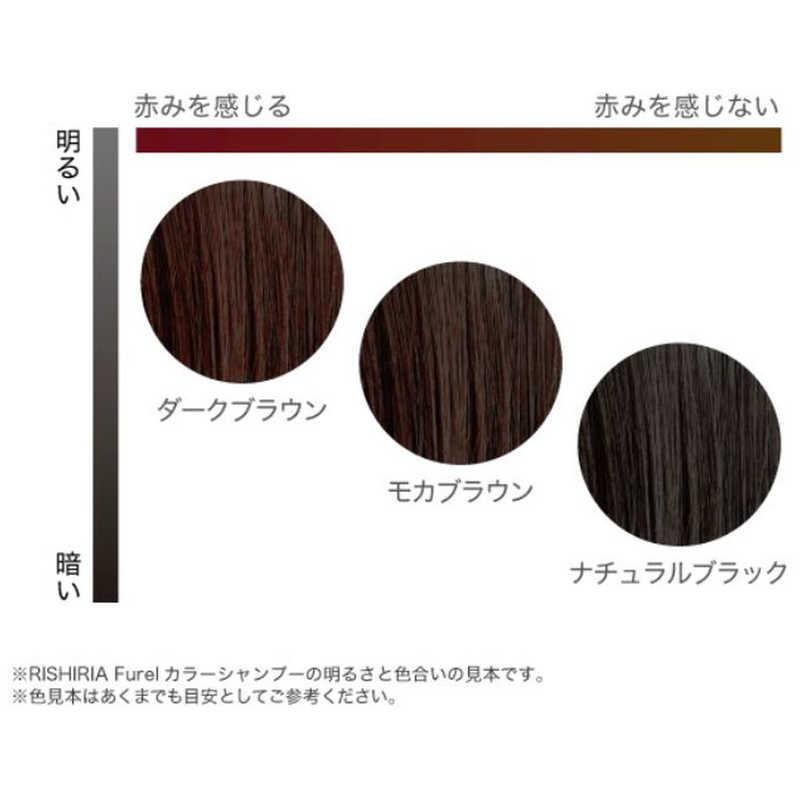 RISHIRIA Furei リシリアフレル カラーシャンプー ダークブラウン ピュール リシリアフレル カラーシャンプー ダークブラウン : コジマ