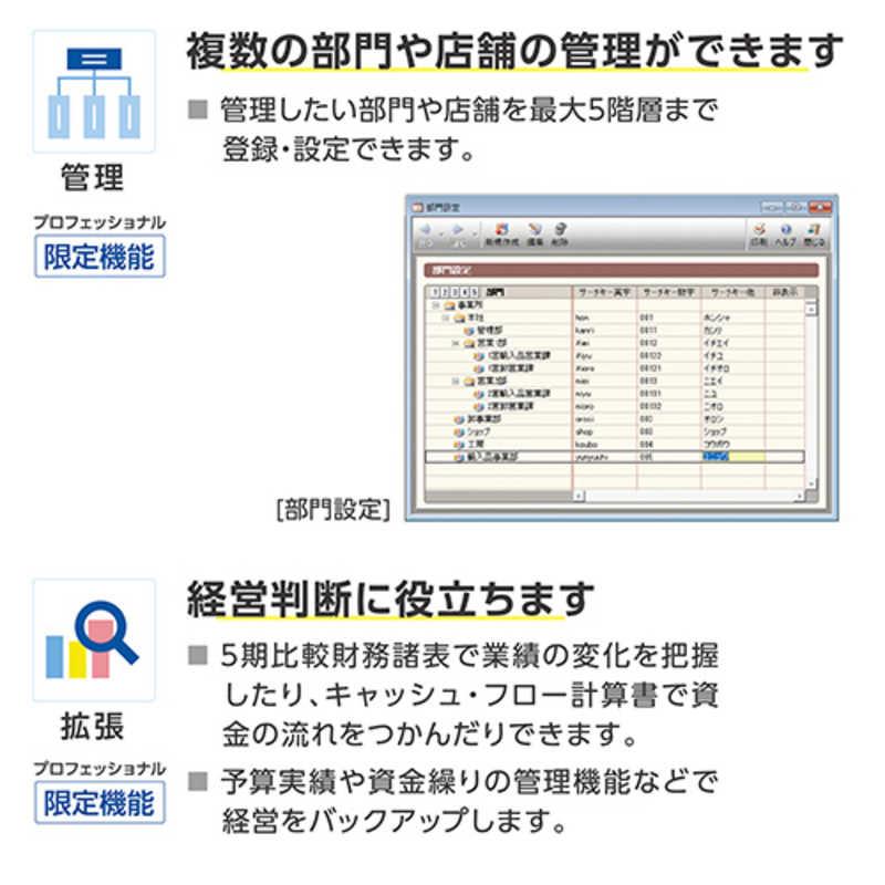 弥生 会計 26 プロフェッショナル 通常版 インボイス制度・電子帳簿