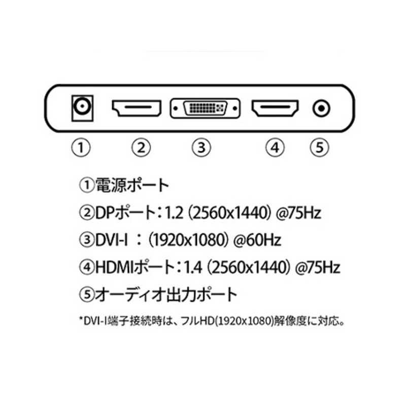 JAPANNEXT 23.8インチ IPSパネル搭載 WQHD(2560x1440)解像度 液晶