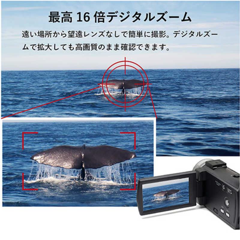 サイエルインターナショナル 赤外線機能付きハンディカメラ SaiEL SLI
