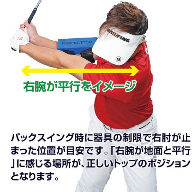 LPSWING ゴルフ練習用品 Perfect Top パーフェクトトップ LP-ATOP