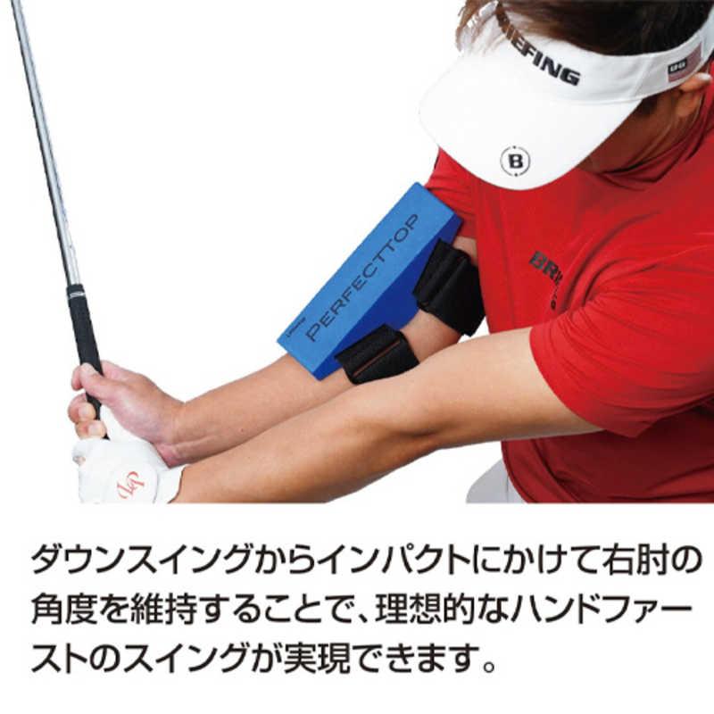 LPSWING ゴルフ練習用品 Perfect Top パーフェクトトップ LP-ATOP