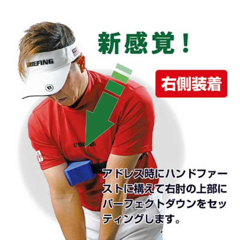 LPSWING ゴルフ練習用品 Perfect Down パーフェクトダウン LP-DOWN