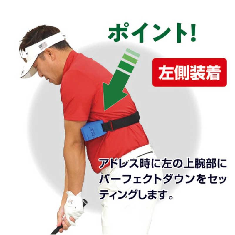 LPSWING ゴルフ練習用品 Perfect Down パーフェクトダウン LP-DOWN