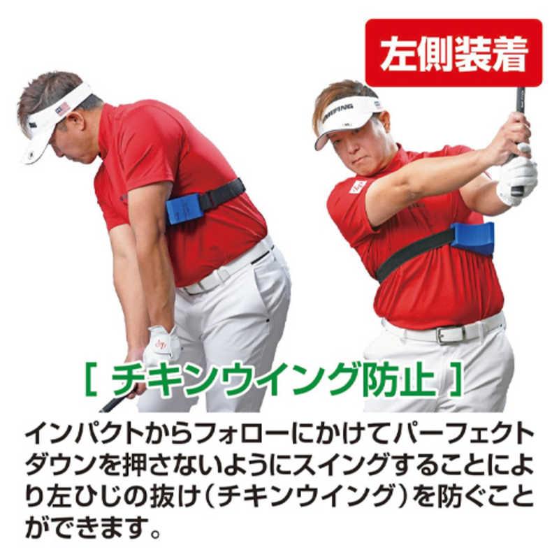 LPSWING ゴルフ練習用品 Perfect Down パーフェクトダウン LP-DOWN