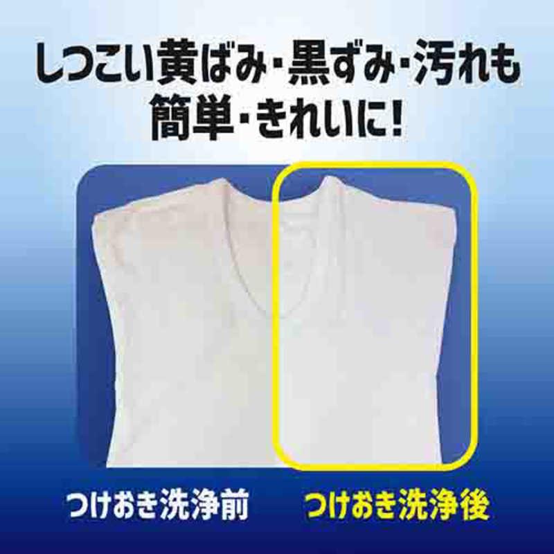 花王　ワイドハイター PRO 強力分解パウダー つめかえ用 450g　｜y-kojima｜06