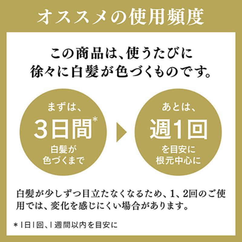花王 リライズ 白髪染め リ・ブラック 自然な黒さ ふんわり仕上げ 男女
