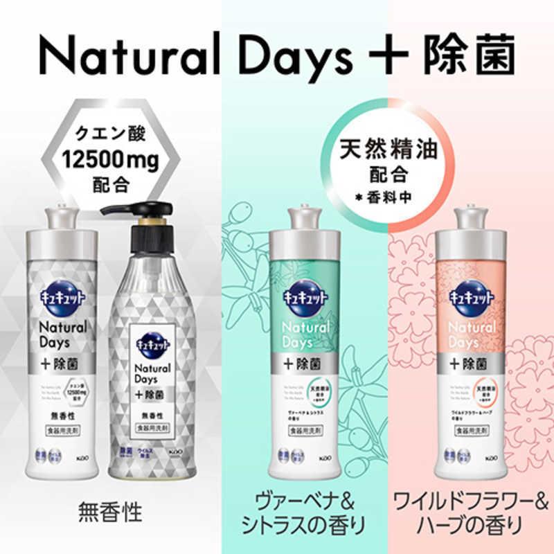 早割クーポン! 花王 キュキュット Natural Days+除菌 ヴァーベナamp;シトラスの香り つめかえ用 770ml discoversvg.com 早割クーポン! 花王 キュキュット Natural Days+除菌 ヴァーベナamp;シトラスの香り つめかえ用 770ml discoversvg.com