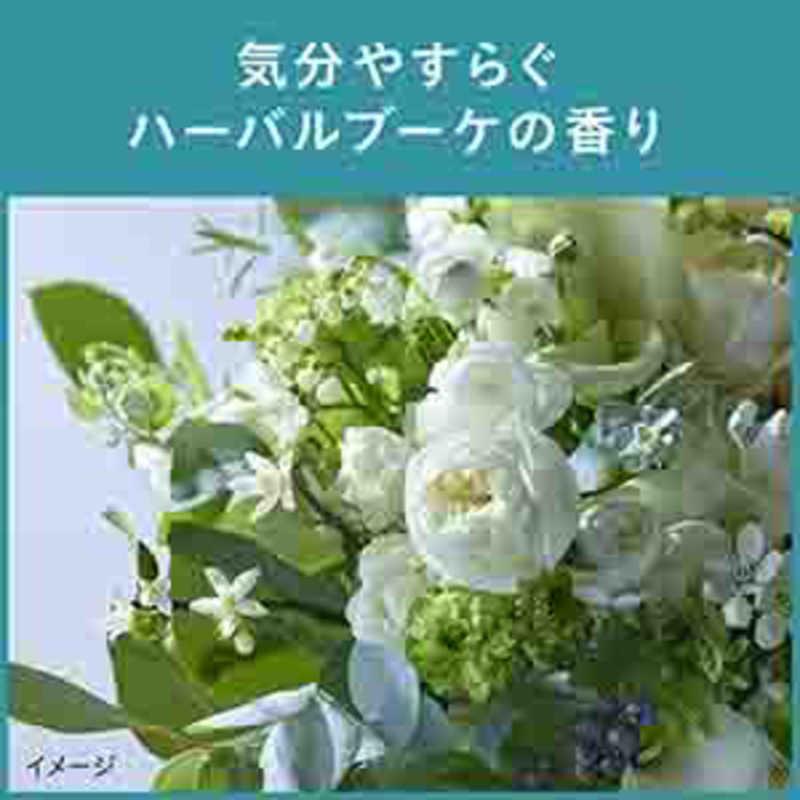 花王　Segreta(セグレタ)シャンプー うねる髪もまとまる 本体 430mL　｜y-kojima｜08