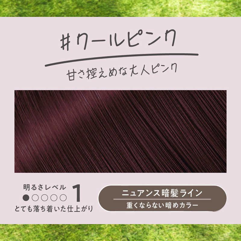 花王　Liese - リーゼ　泡カラー　クールピンク　24個セット リーゼ 泡カラー クールピンク | 花王公式通販 【My Kao Mall】