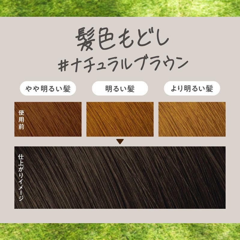 花王 リーゼ 泡カラー 髪色もどし ナチュラルブラウン : コジマYahoo