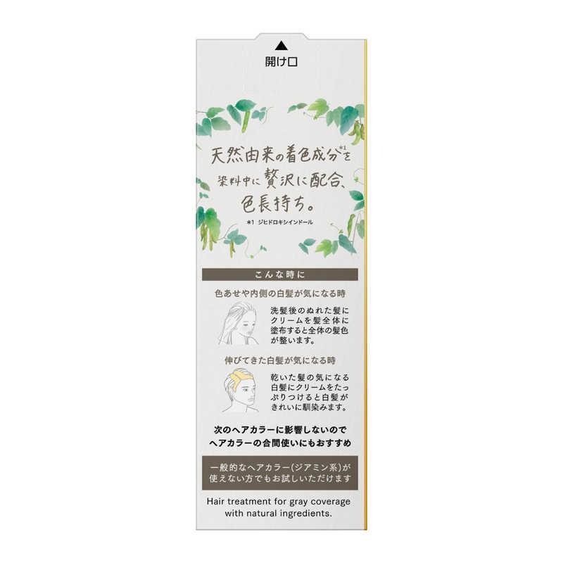 花王 ブローネ ナチュリラ 色長持ち カラートリートメント アッシュ