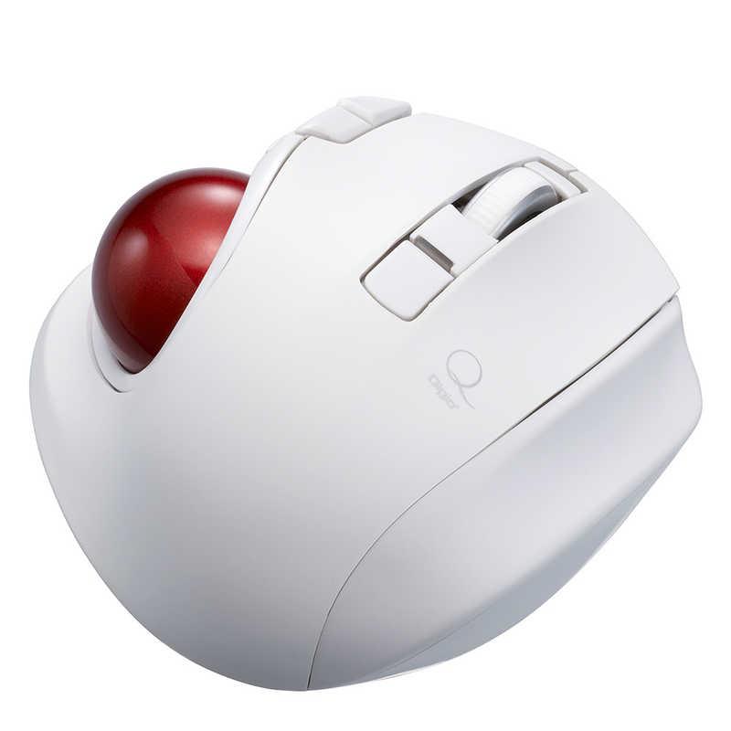 新品□高品質太セル□五枚丁番□サングラス□Ojo 01似□アセテート