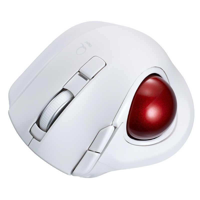 色紙・額 故 畠山 錦城画伯 「蘭」 真筆証明書付き