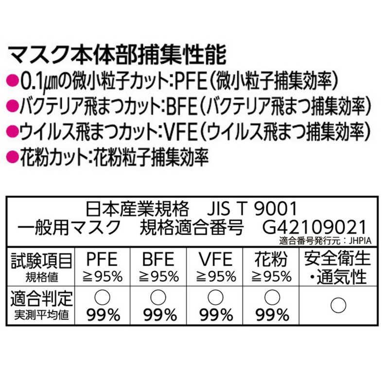 白元アース 白元 快適ガードプロ プリーツタイプ ふつうサイズ 30枚