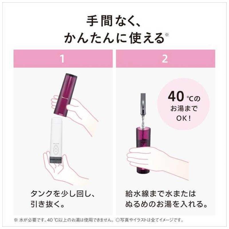 Panasonic（パナソニック） 携帯用おしり洗浄器「ハンディ・トワレ