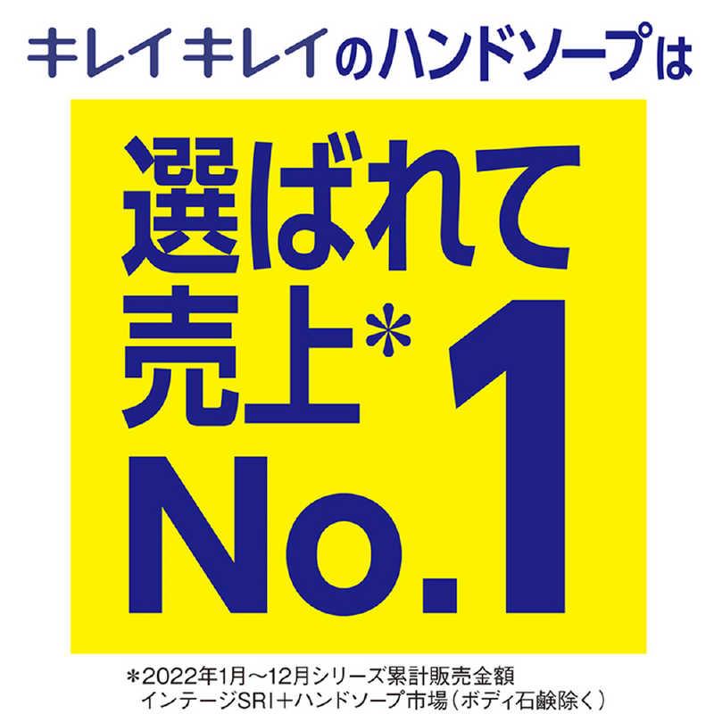 ライオンハイジーン キレイキレイ 薬用泡ハンドソープ 無香料 業務用詰