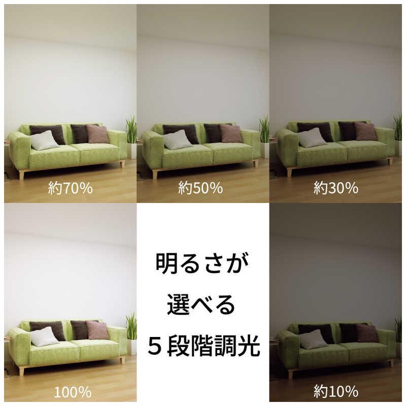 ホタルクス LEDシーリングファン 6畳 調光 調色 リモコン付き