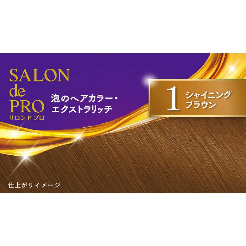 ダリヤ サロンドプロ 泡のヘアカラー・エクストラリッチ (白髪用) 1