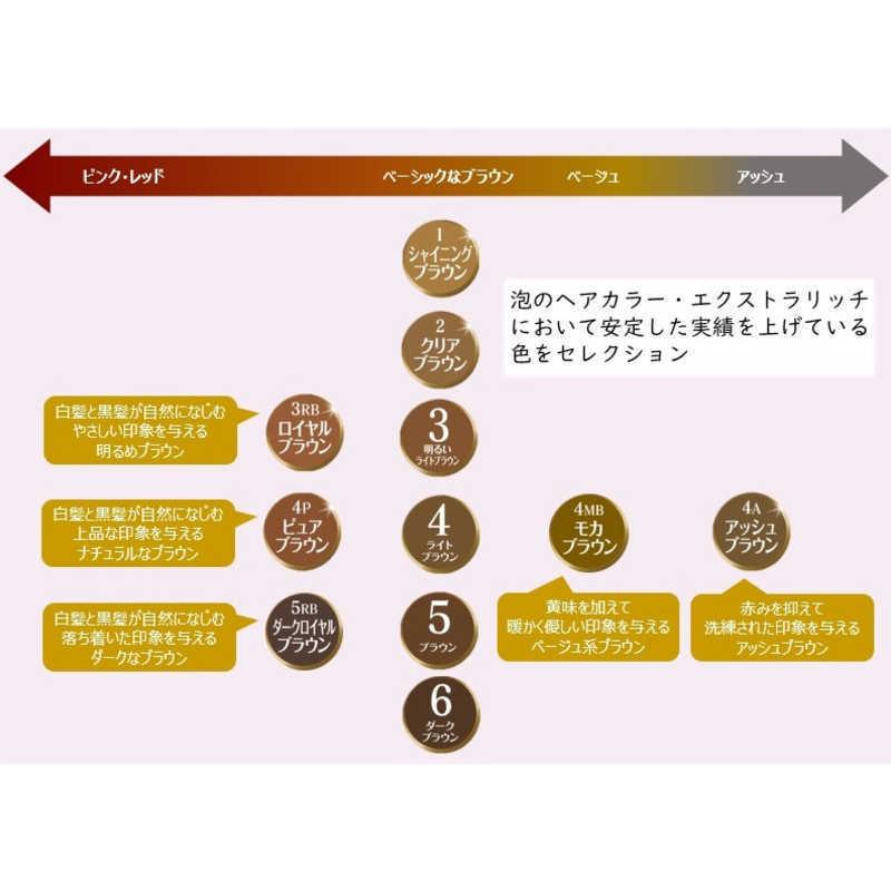 ダリヤ サロンドプロ 泡のヘアカラー・エクストラリッチ(白髪用) 4MB