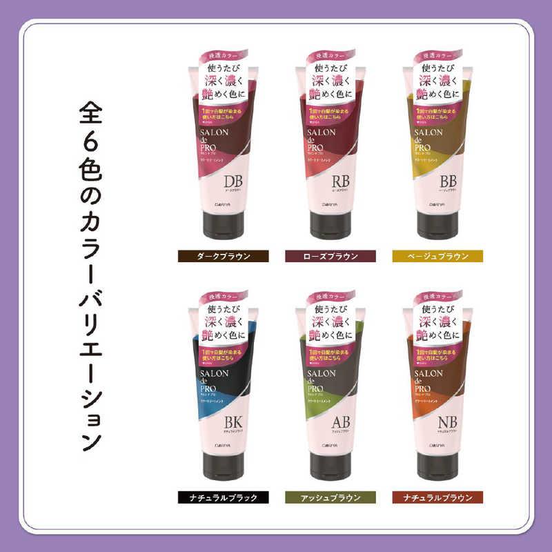 サロンドプロカラートリートメントローズ、ブラウンダークブラウン、アッシュブラック ダリヤ サロンドプロカラートリートメント(ダークブラウン) : コジマ