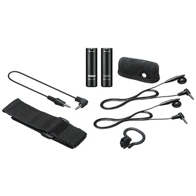 SONY（ソニー） ワイヤレスマイクロホン ECM-AW4 : コジマYahoo!店 