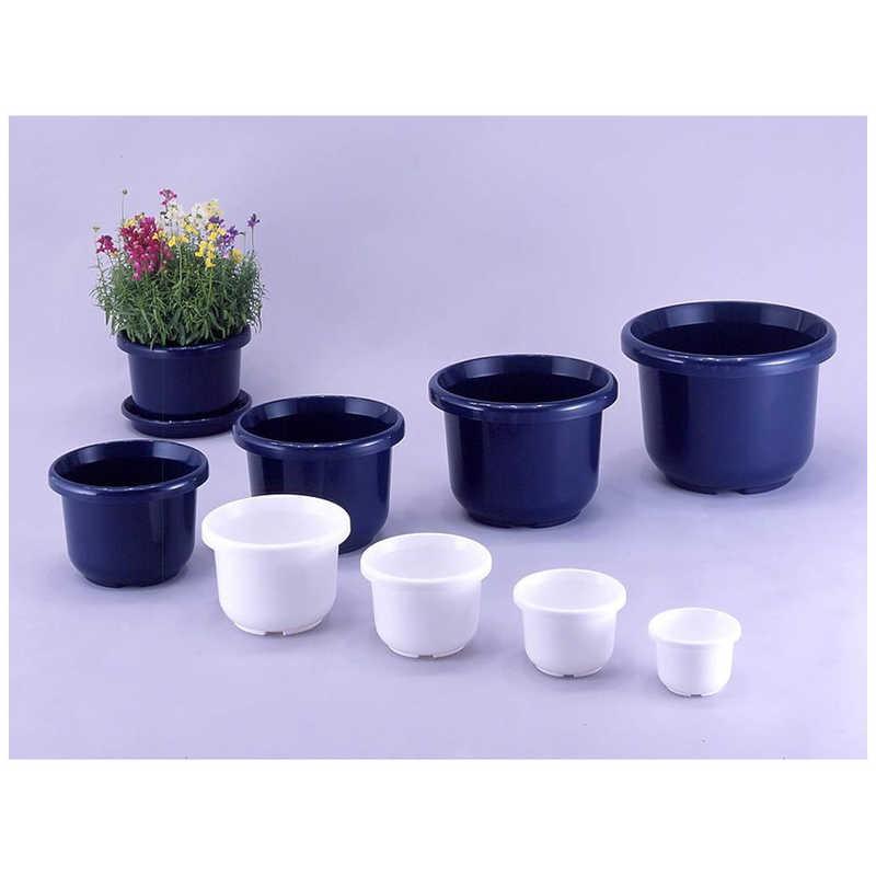 アップルウェアー 輪鉢F型 7号 ホワイト ワハチFガタ7ゴウ : コジマ