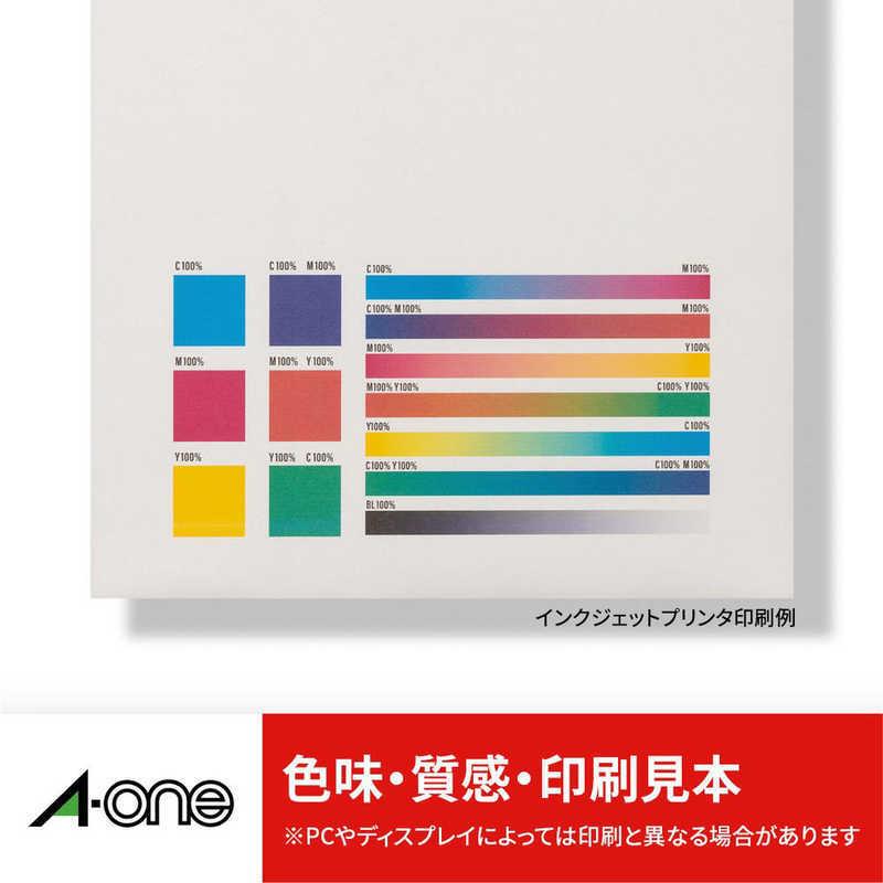 エーワン（A-one） ファイル背ラベル(A4・13面×20シート) 31427