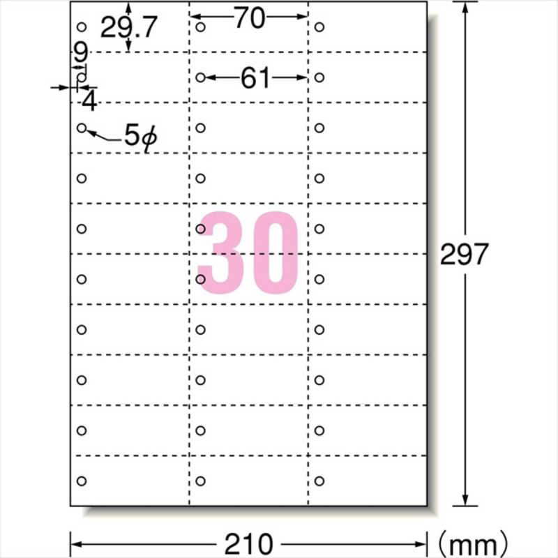 エーワン（A-one） マルチカード 単語カード穴あきタイプ(A4サイズ・30