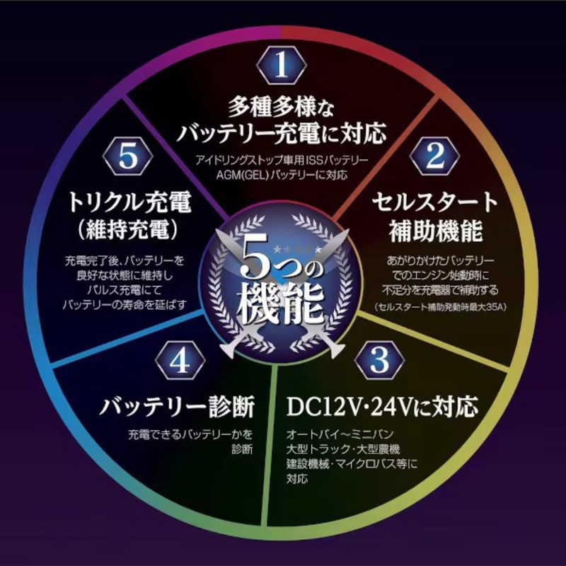 大自工業　セレクト式自動パルスバッテリー充電器 (バイク-ミニバン・大型トラック) 12V/24V対応 定格25A バッテリー診断機能付　MP230の画像