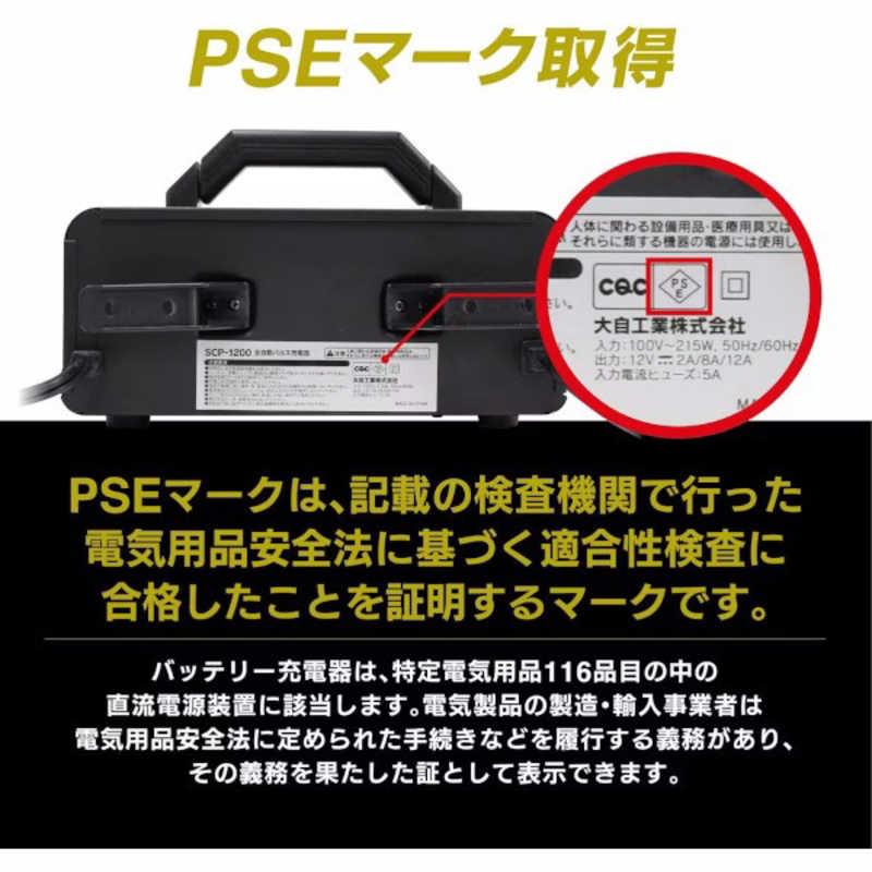 大自工業 全自動パルスバッテリー充電器 バッテリー診断機能付 SCP1200