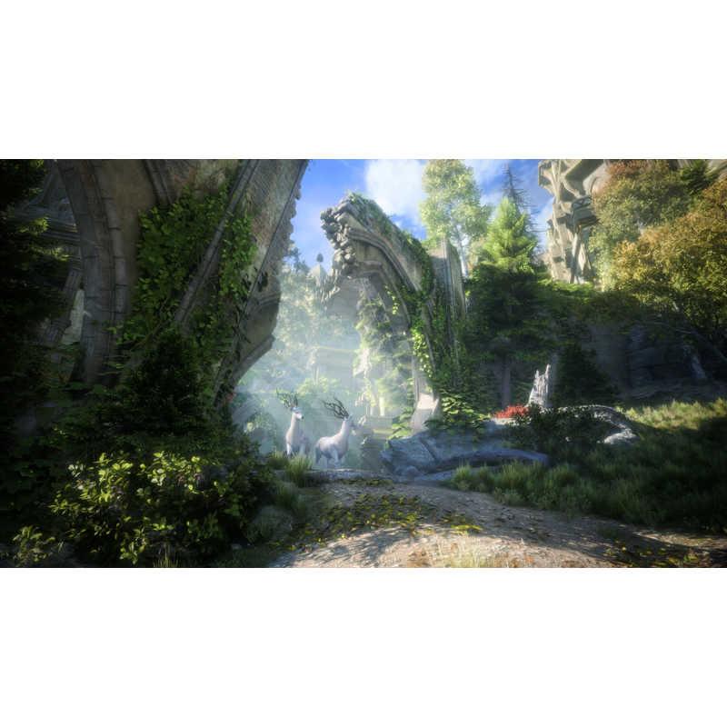 エレクトロニック・アーツ PS5ゲームソフト ドラゴンエイジ： ヴェイルの守護者の画像