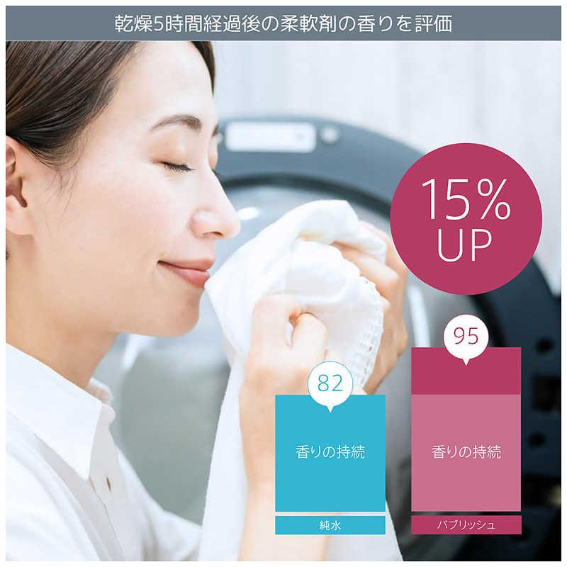 丸山製作所 ウルトラファインバブル洗濯機アダプタ バブリッシュ UWA