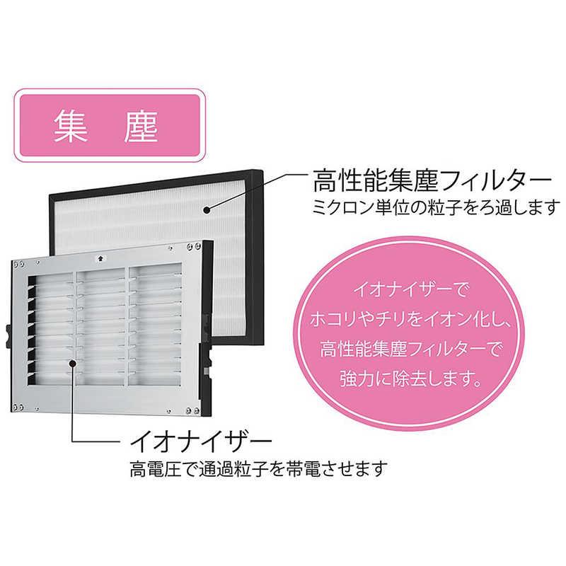 アンデス電気 壁掛型空気清浄機 バイオミクロン 据置 適用畳数 20畳