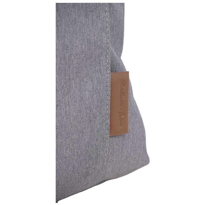 バリスティックスピリット アンチグラビィティリュック グレー