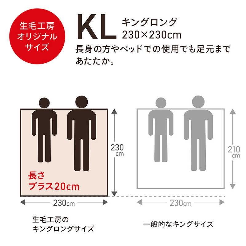 生毛工房　合い掛け羽毛布団生毛ふとん   キングロング(230×230cm)  春 秋用  ホワイトマザーグースダウン95％　PM-480-Aの画像