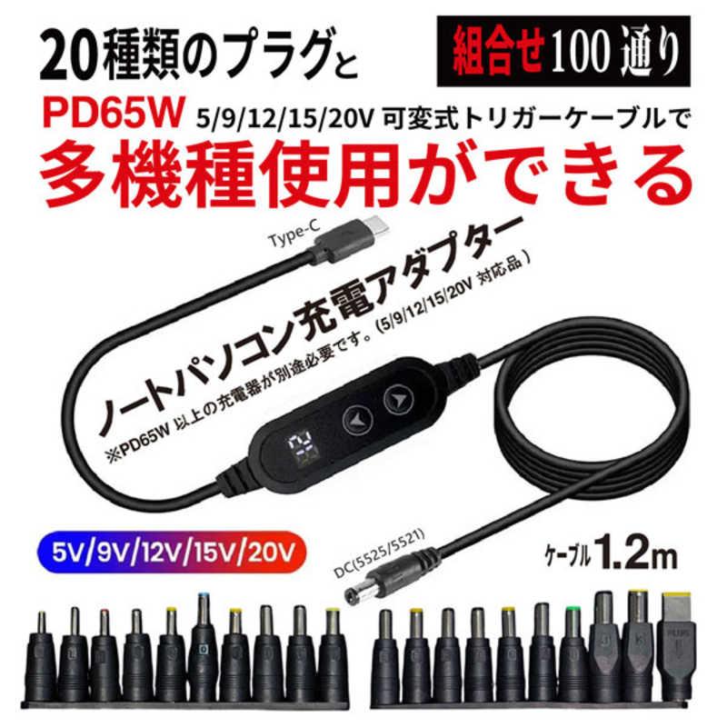 YOUZIPPER PD65W電圧可変式トリガーケーブル DC20プラグセット ［Type