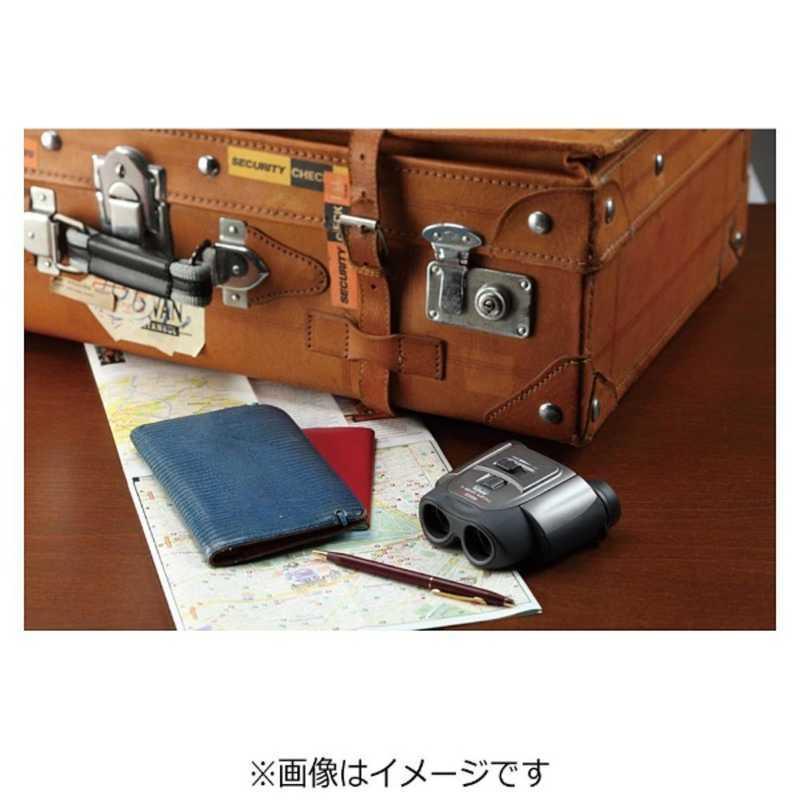 Vixen ビクセン 10~30倍双眼鏡 「コンパクトズーム」 MZ 10-30x21 