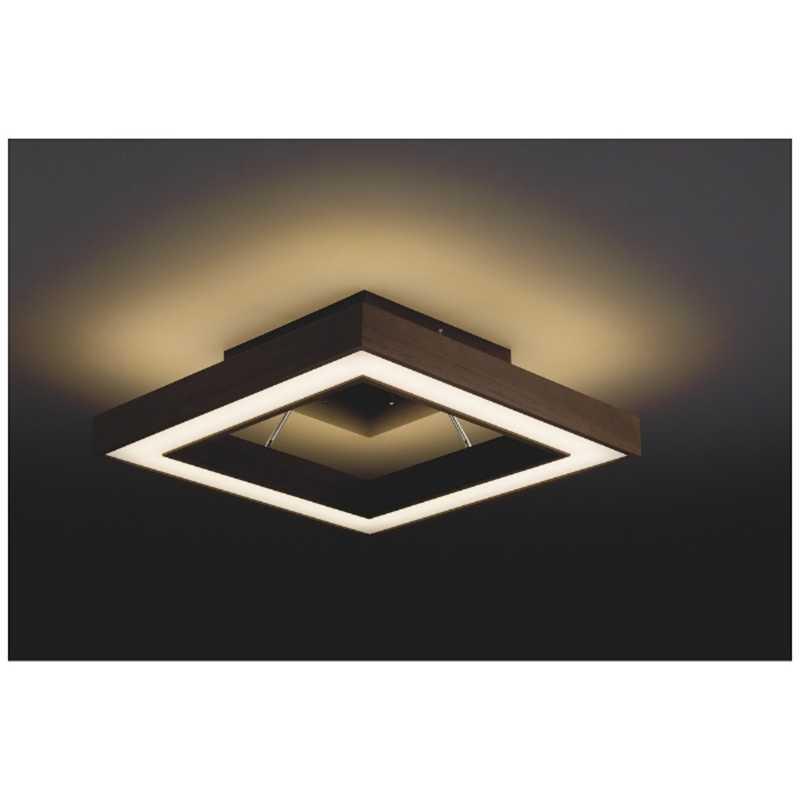 大光電機 間接光LEDシーリングライト [14畳 電球色 リモコン付属] DXL 