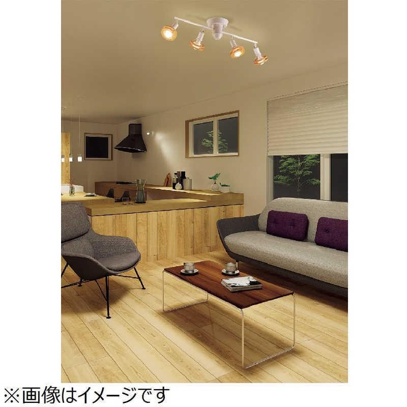大光電機 ロッドスポット CEILING SPOT LIGHT DXL82324(白) : コジマ