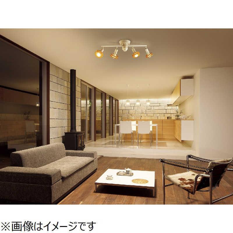 大光電機 大光電機 ロッドスポット CEILING SPOT LIGHT DXL82324 大光電機 大光電機 ロッドスポット CEILING SPOT LIGHT DXL82324