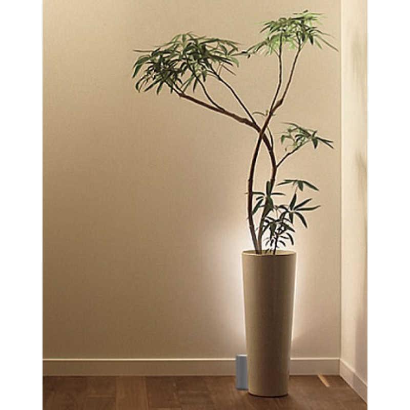 大光電機 LEDスタンドライト DXL-81408C [電球色 /LED] : コジマYahoo