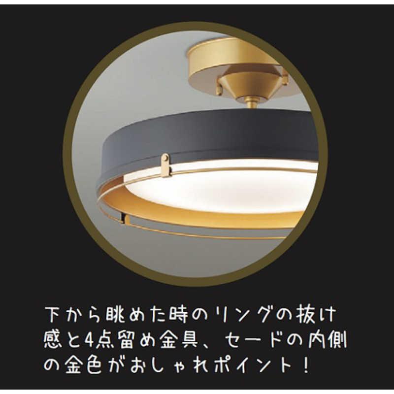 大光電機 LEDシーリングライト [12畳 昼光色~電球色 リモコン付属] DXL